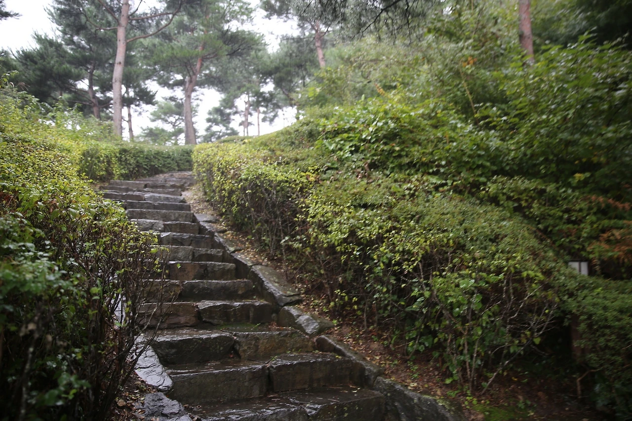 MG0A3222_новый размер.JPG