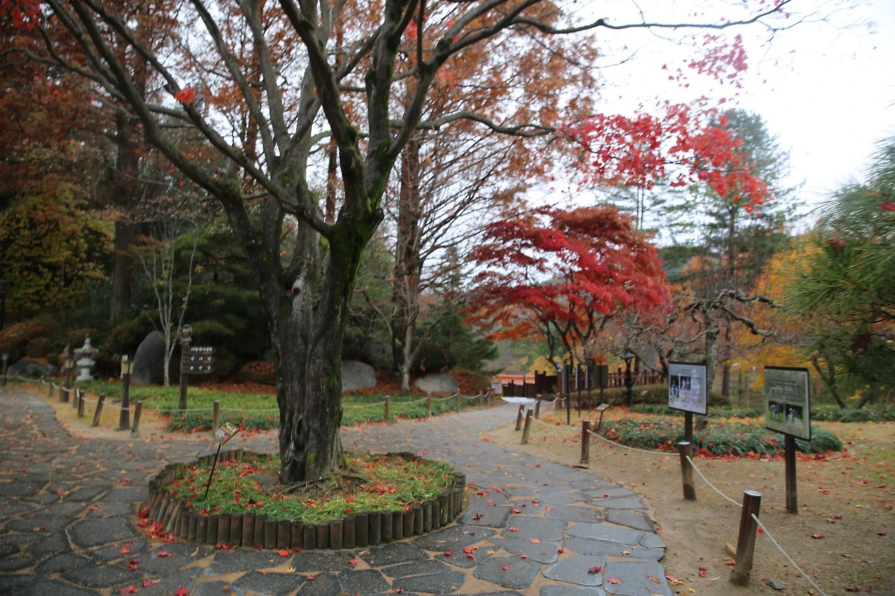 MG0A2042_новый размер.JPG