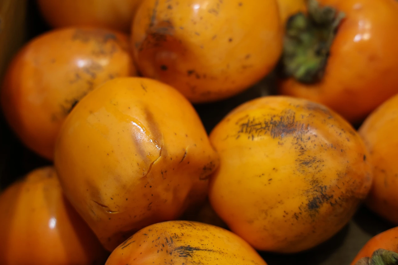 0R5A4796_новый размер.JPG