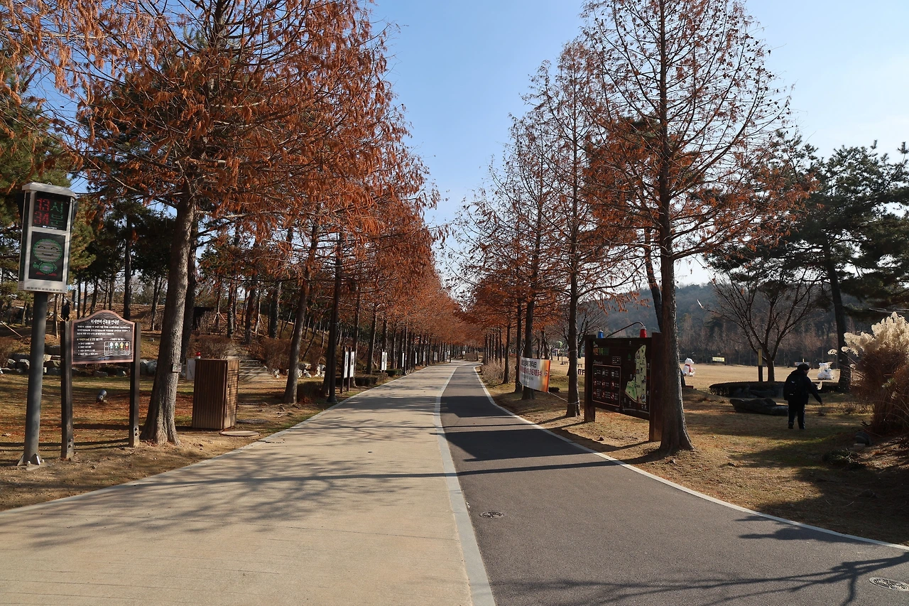 0R5A7407_новый размер.JPG