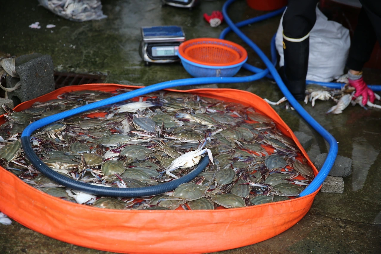 MG0A2531_новый размер.JPG