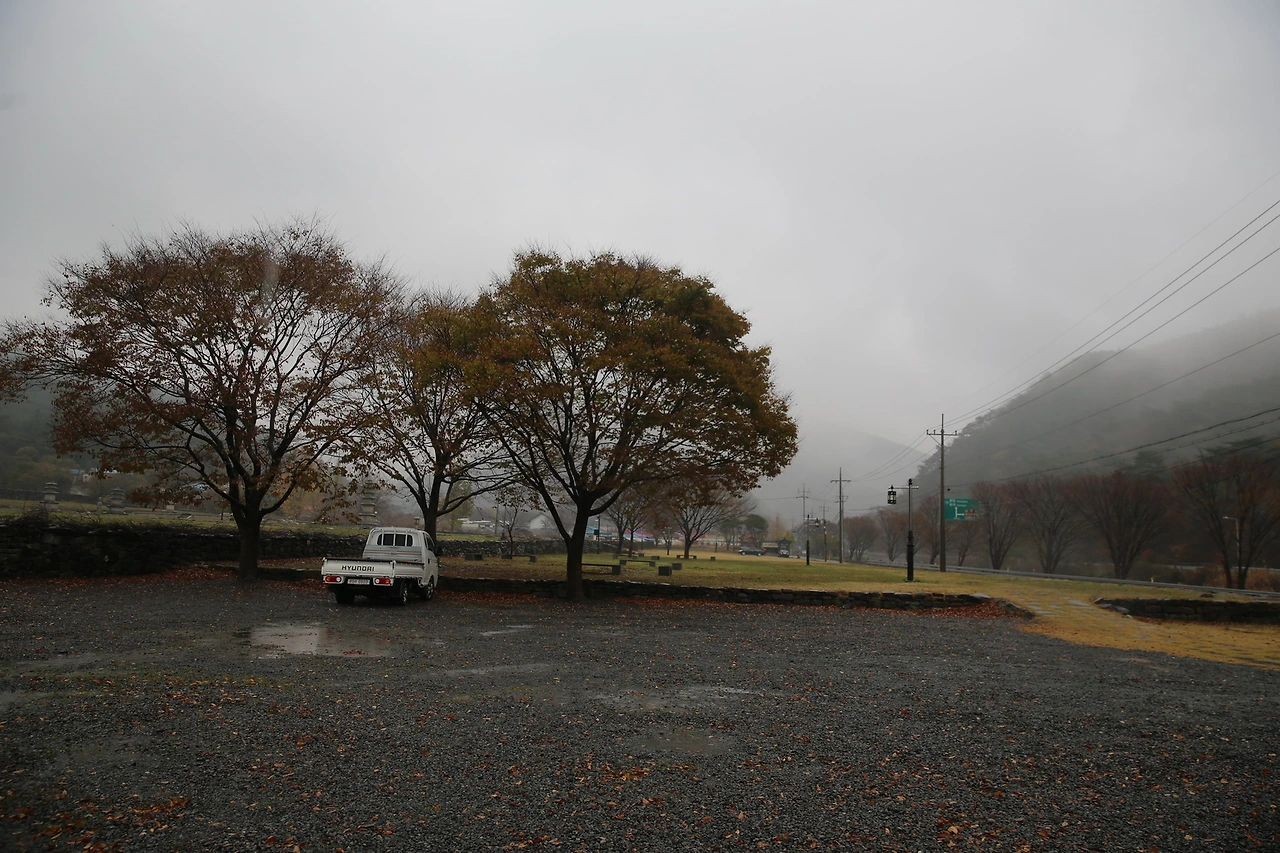 MG0A0897_новый размер.JPG