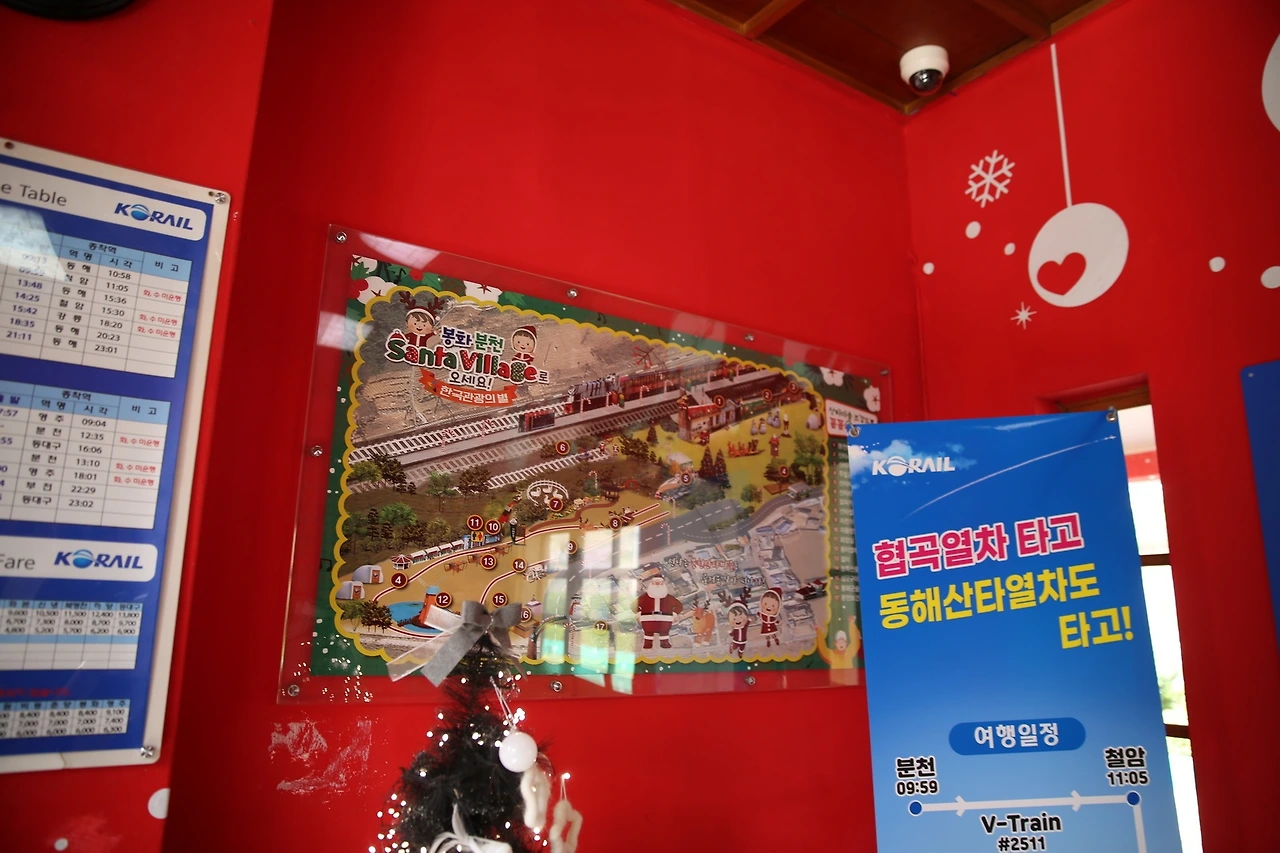 MG0A0067_новый размер.JPG