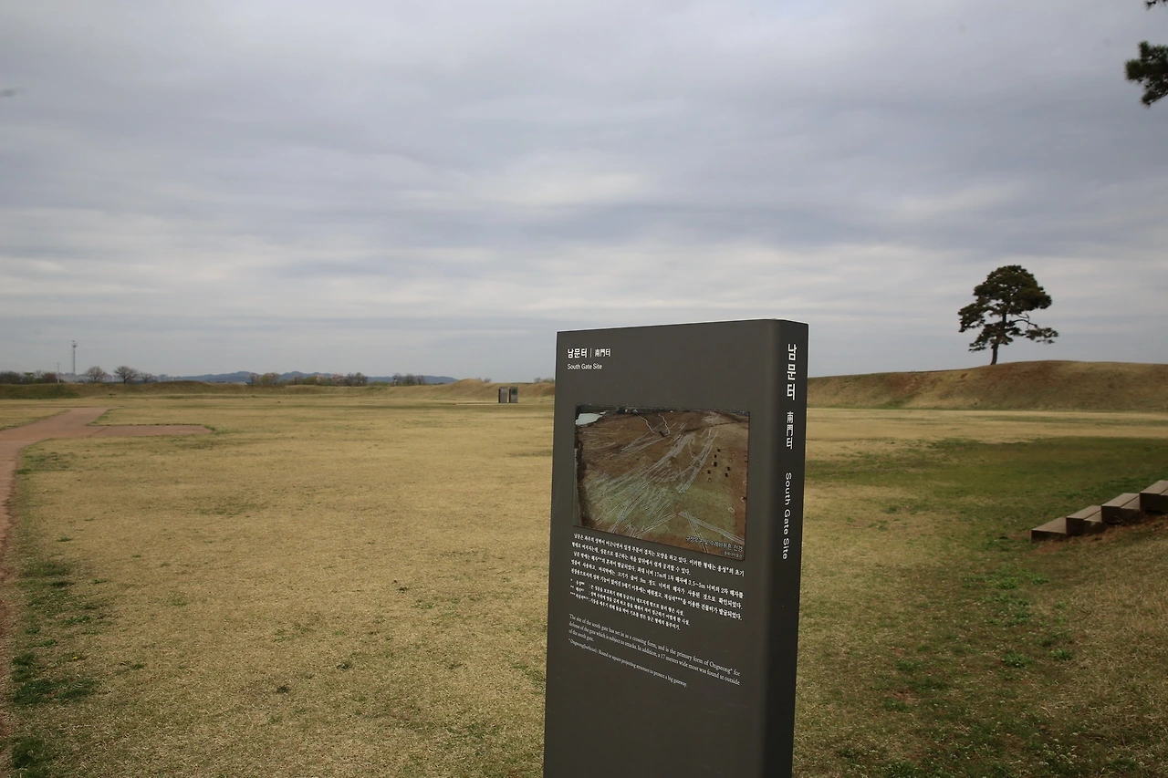 MG0A8241_новый размер.JPG