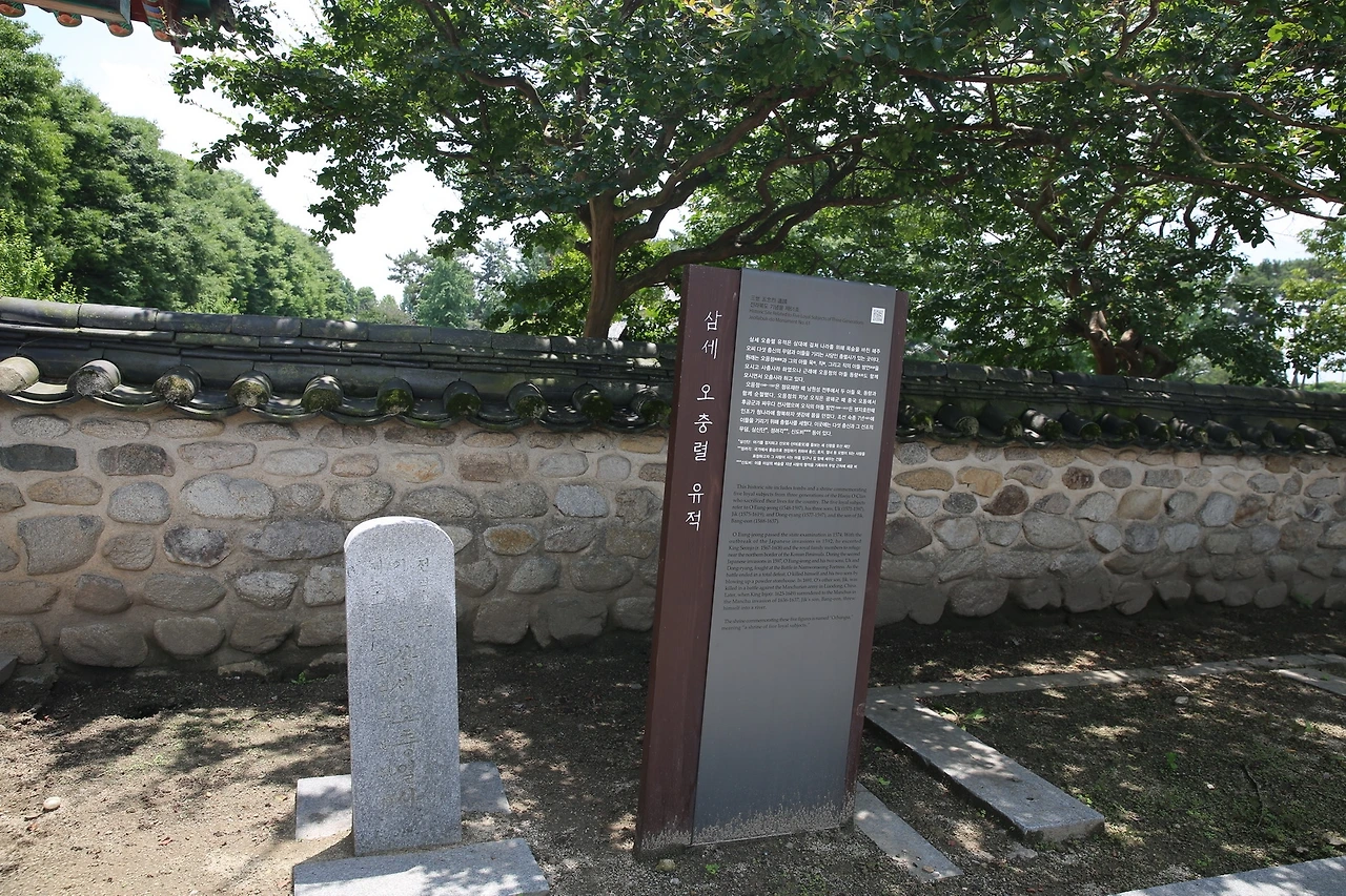 MG0A4423_новый размер.JPG