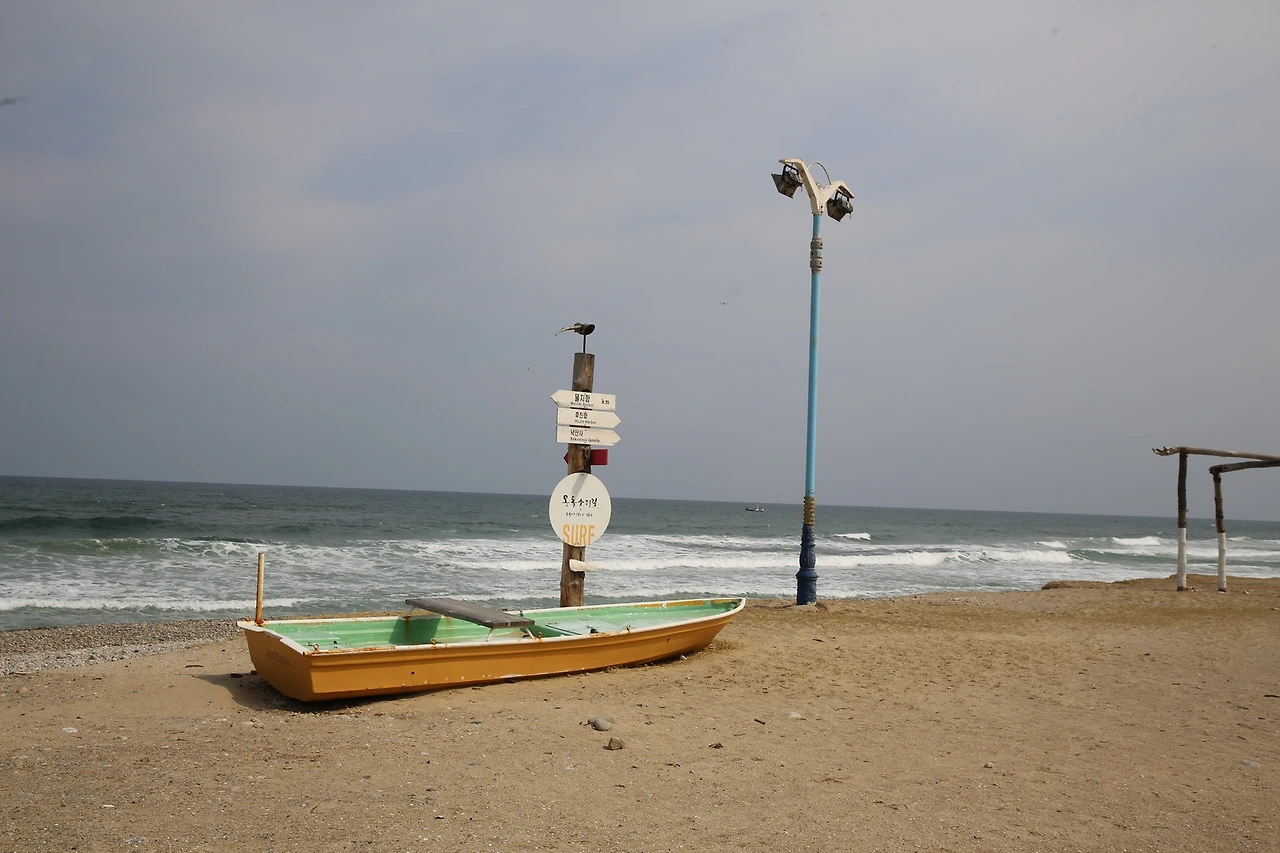 MG0A5386_новый размер.JPG