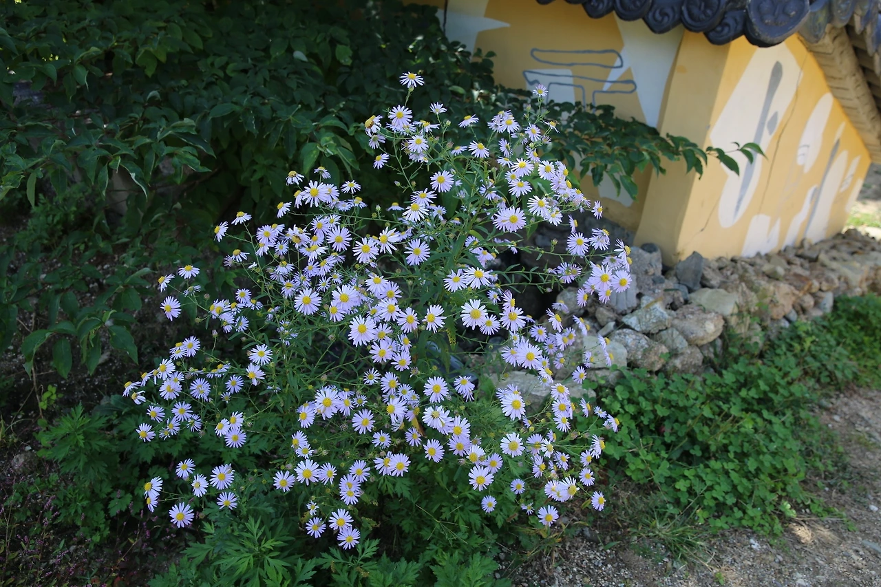 MG0A5710_новый размер.JPG