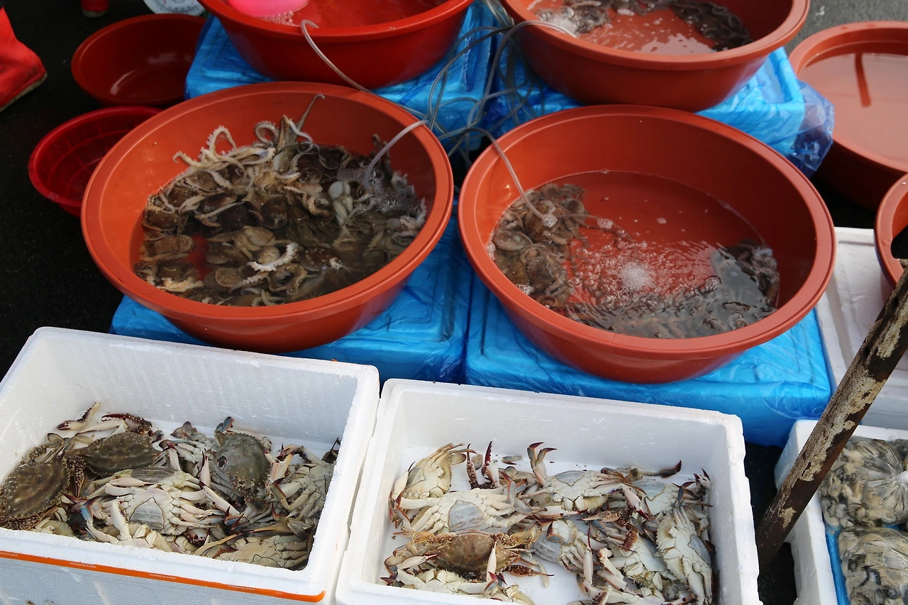 MG0A6619_новый размер.JPG