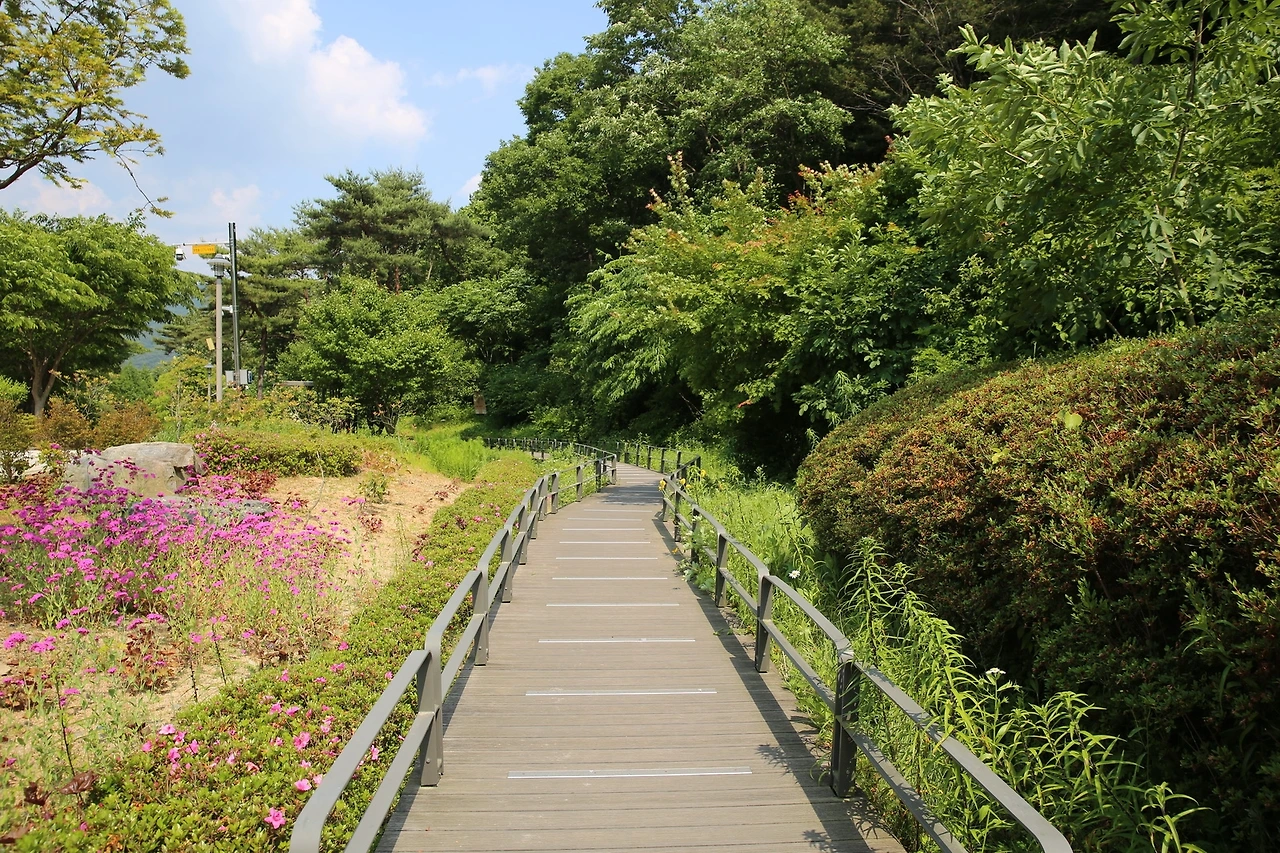 MG0A6382_новый размер.JPG