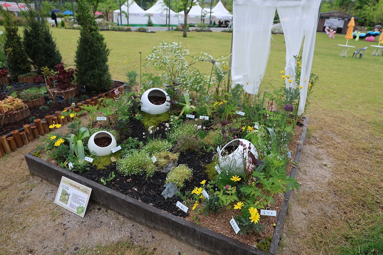 0R5A0191_новый размер.JPG