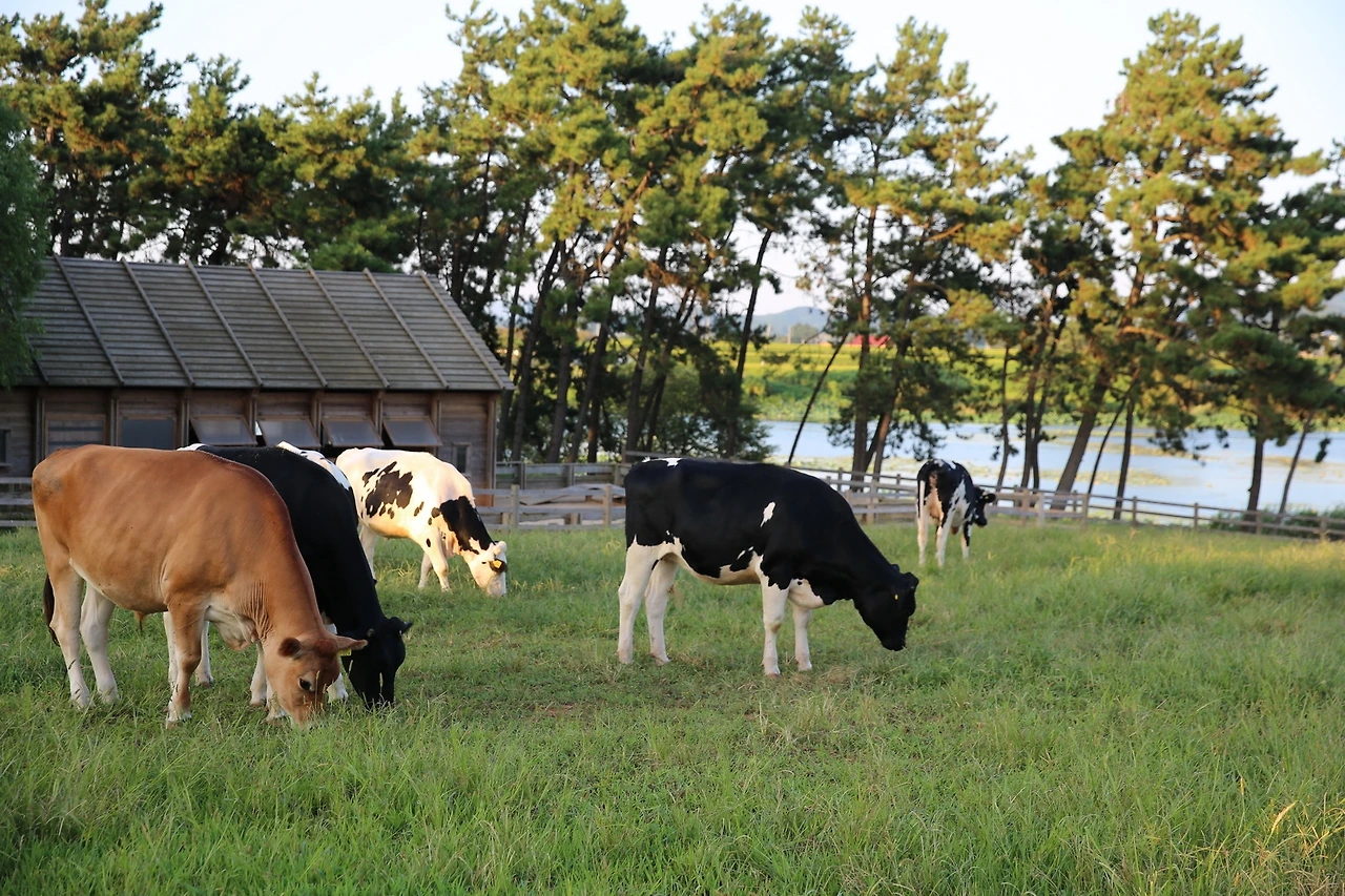 MG0A1414_новый размер.JPG