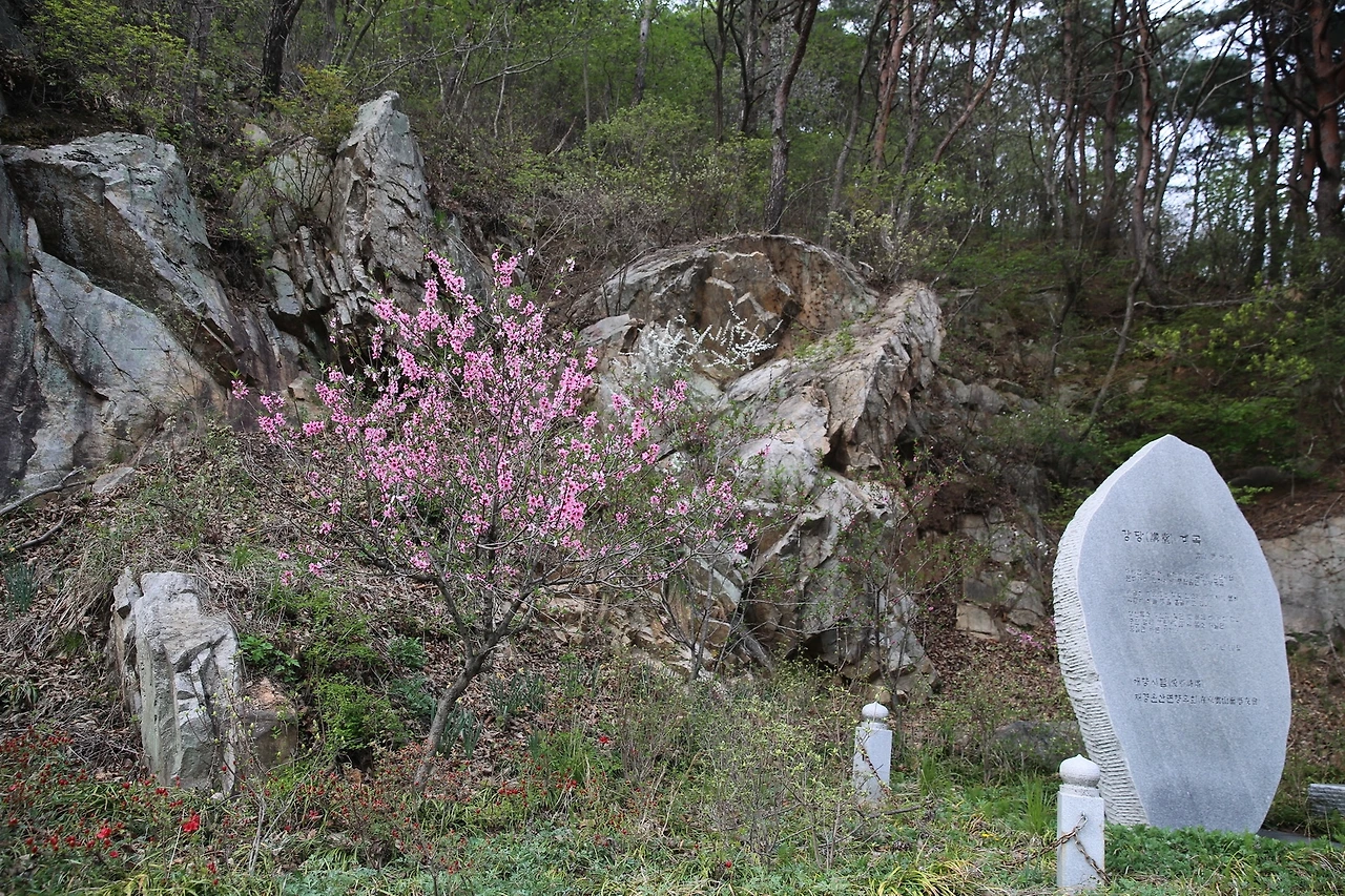 MG0A9505_новый размер.JPG