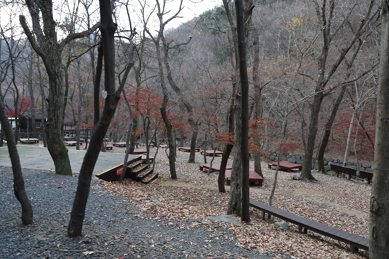 0R5A3129_новый размер.JPG