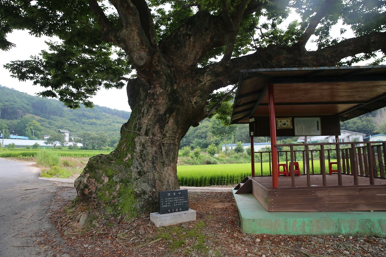 MG0A8967_новый размер.JPG