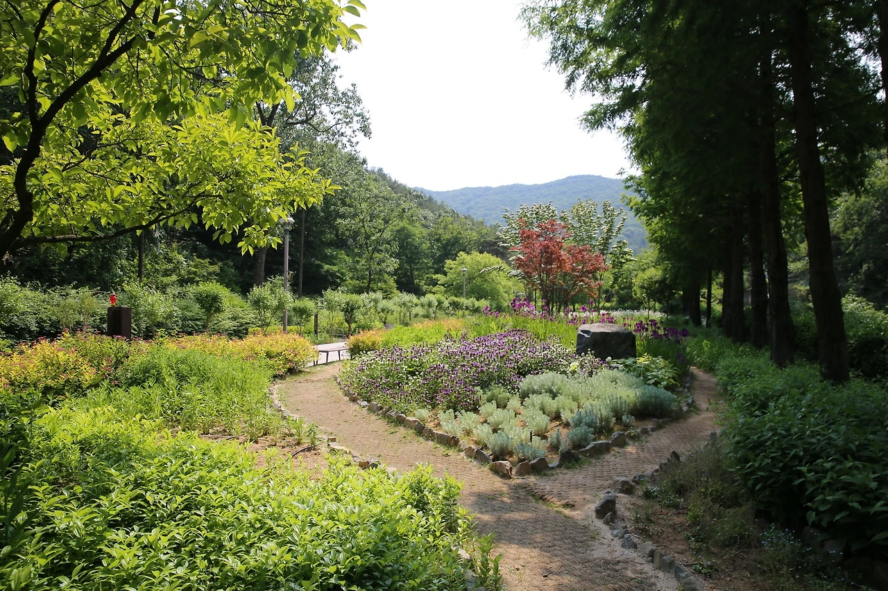 MG0A6361_новый размер.JPG