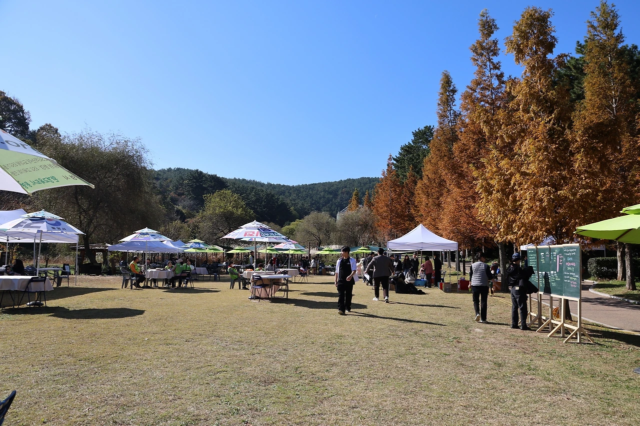 0R5A2720_новый размер.JPG