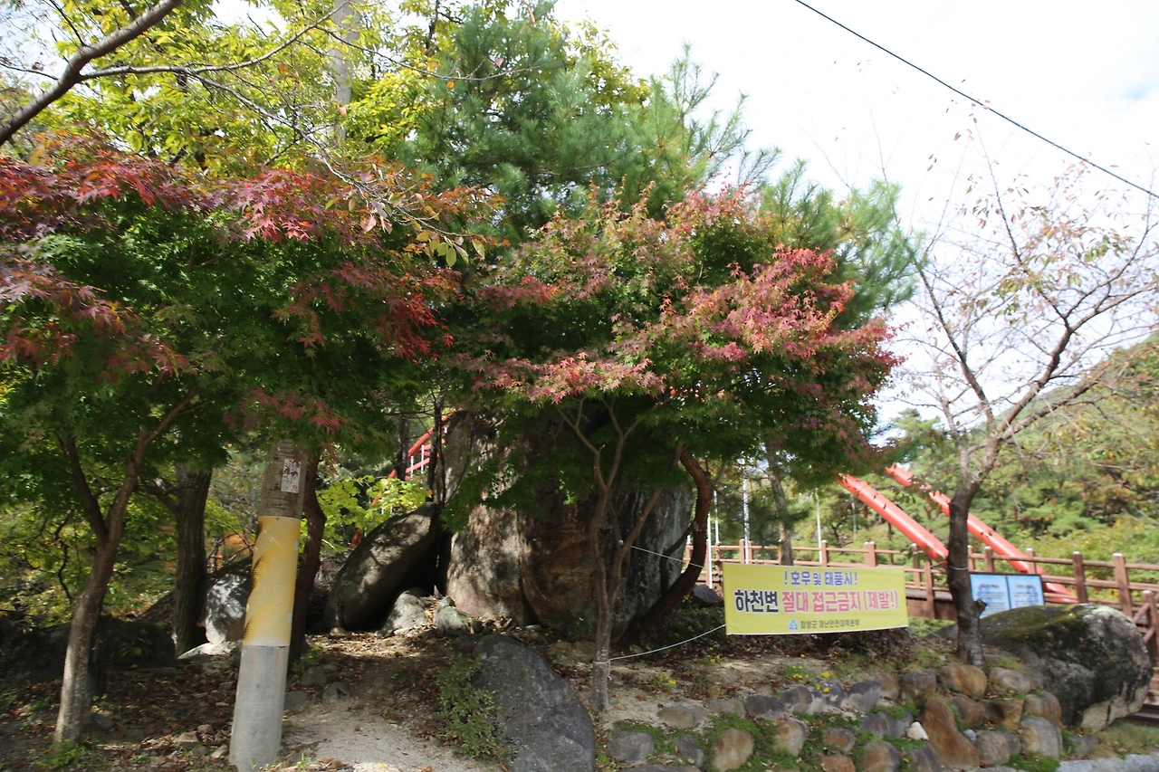 MG0A7858_новый размер.JPG