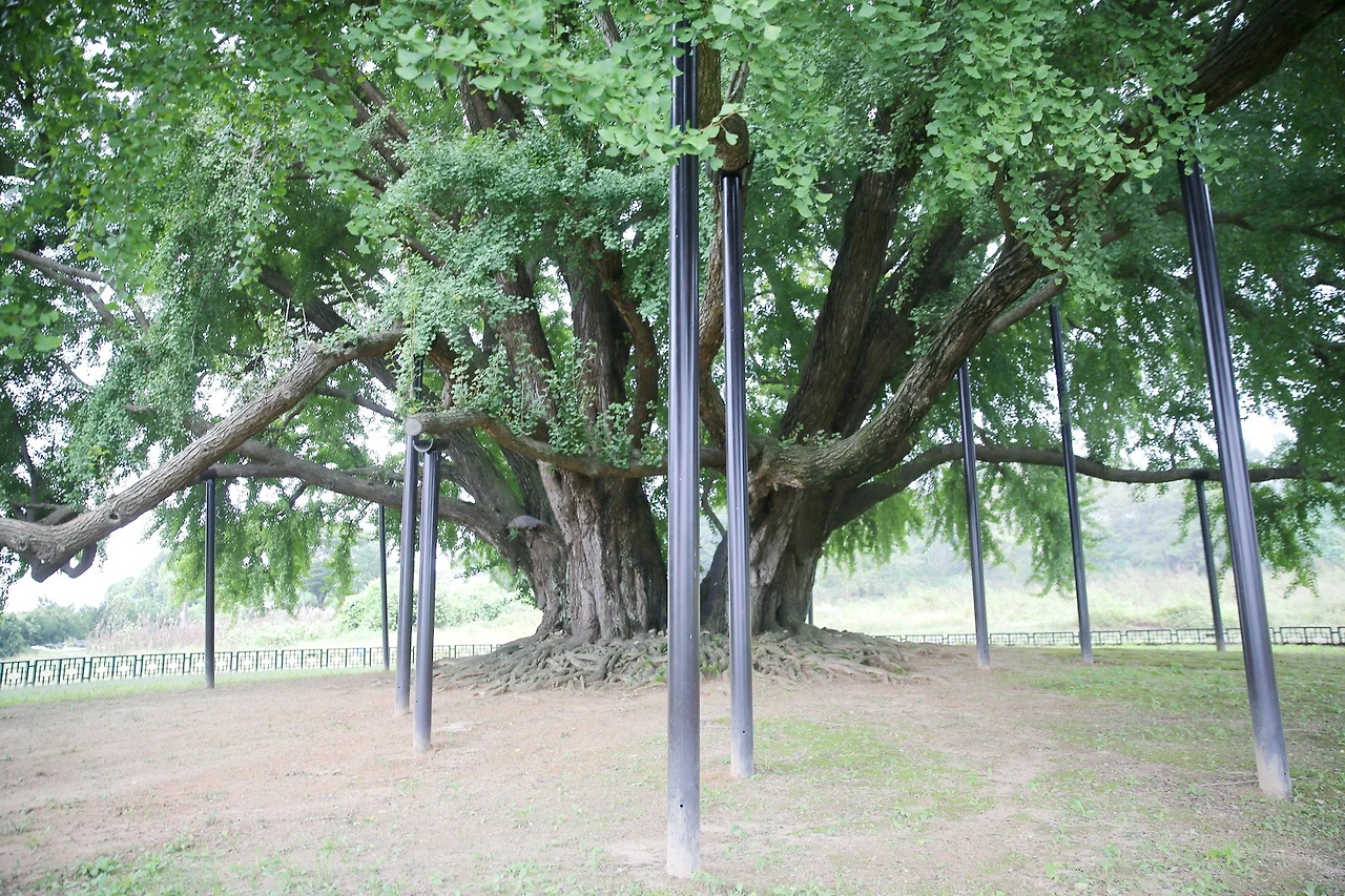 MG0A3572_новый размер_exposure.JPG