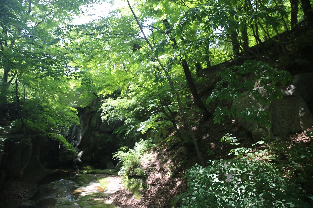 MG0A9381_новый размер.JPG