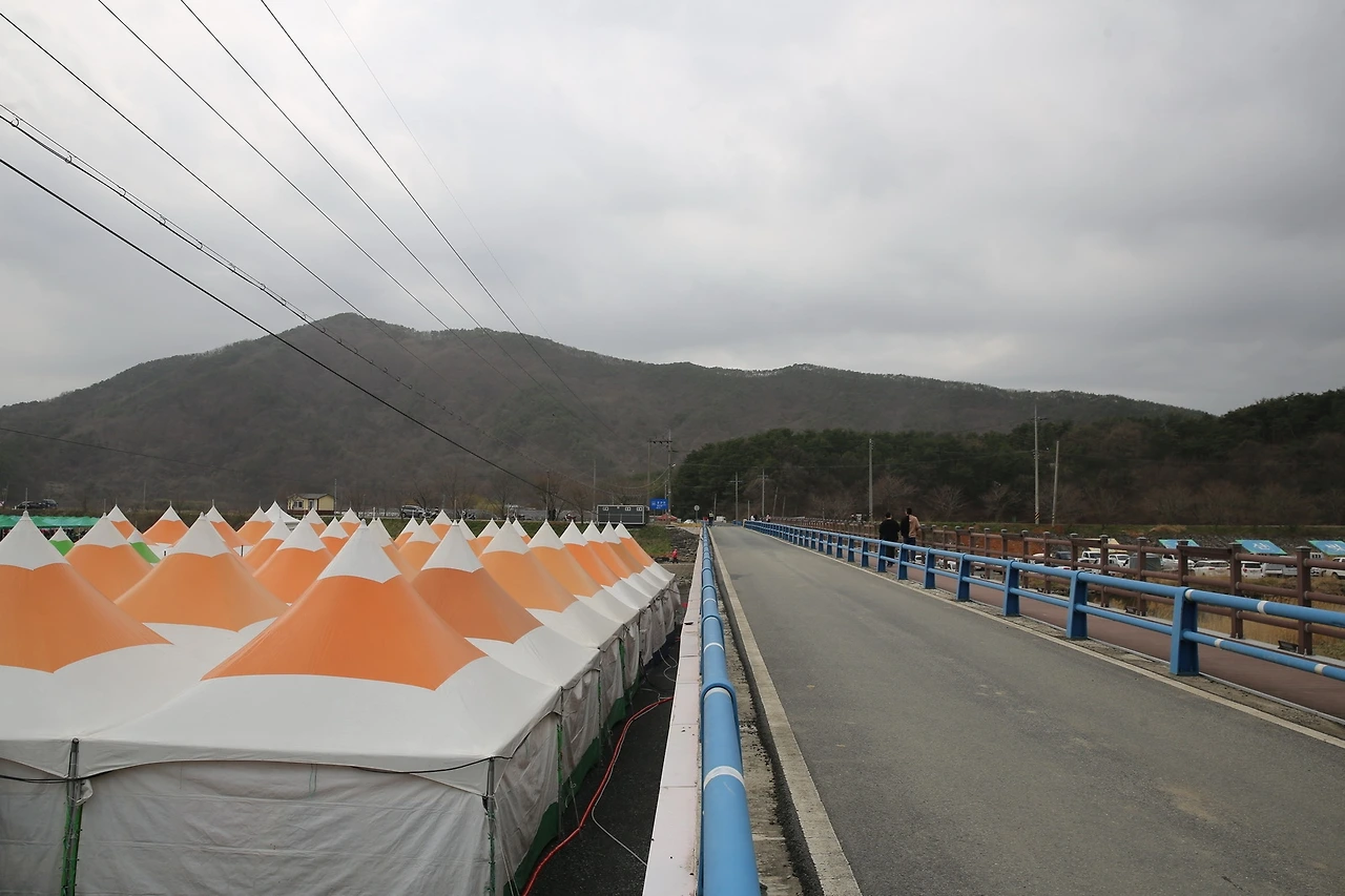 MG0A7951_новый размер.JPG