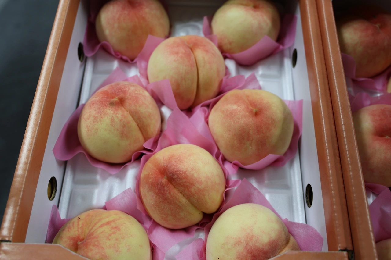 0R5A0326_новый размер.JPG