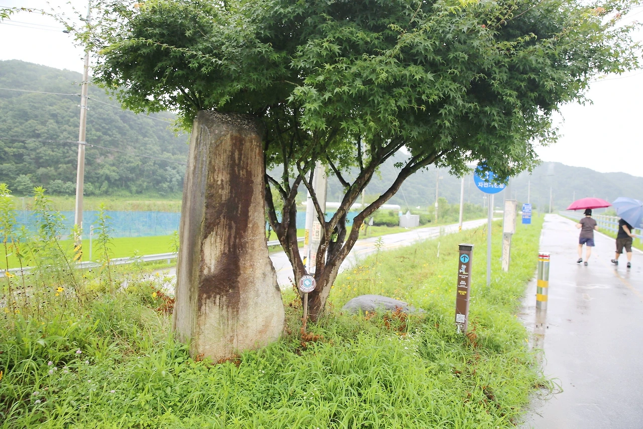 MG0A5982_новый размер_exposure.JPG