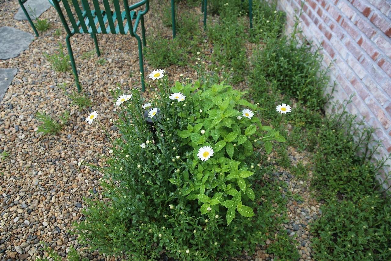 MG0A1421_новый размер.JPG