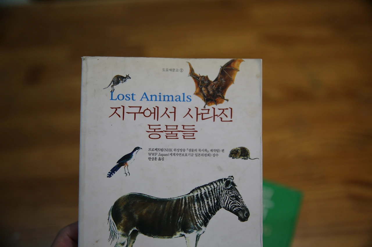 MG0A6221_новый размер.JPG