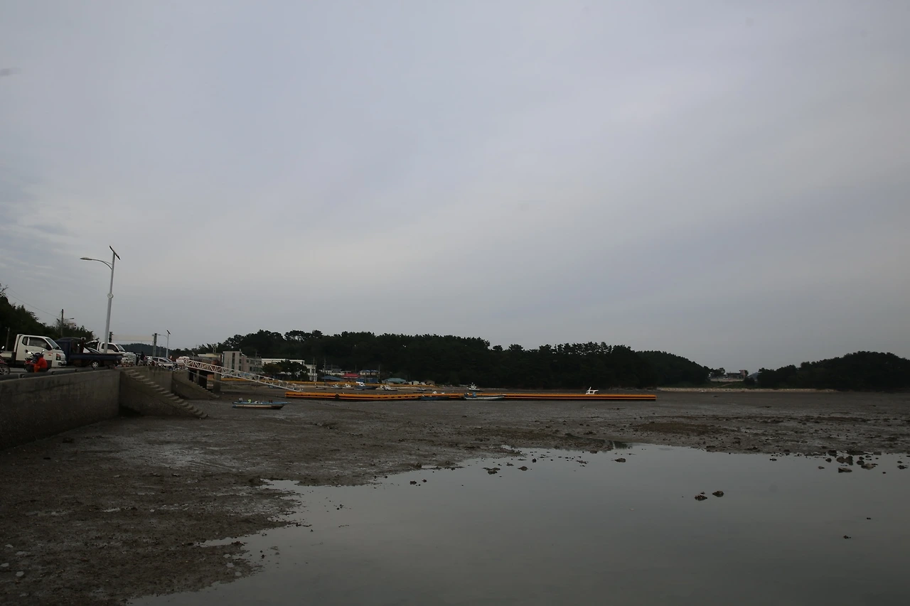 MG0A5374_новый размер.JPG