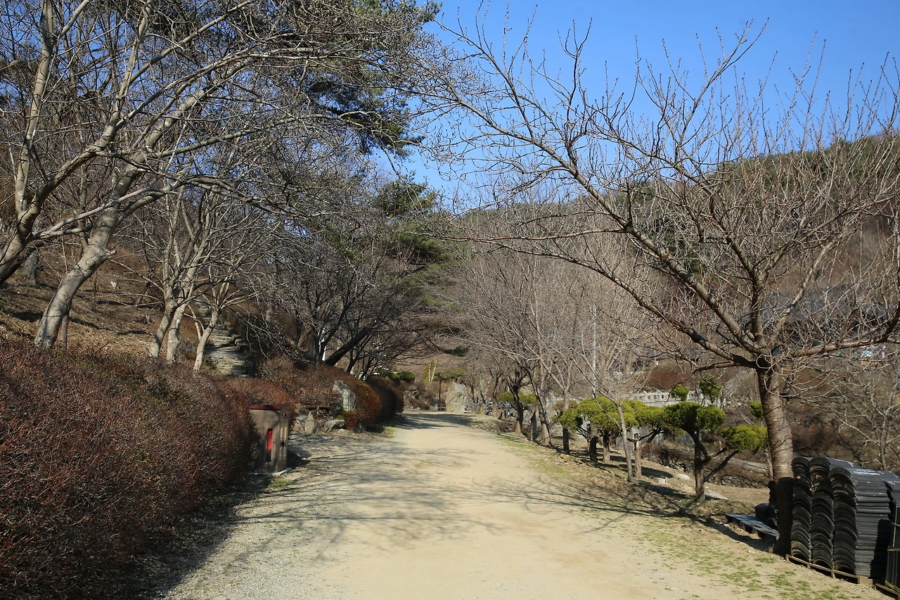 MG0A4401_новый размер.JPG