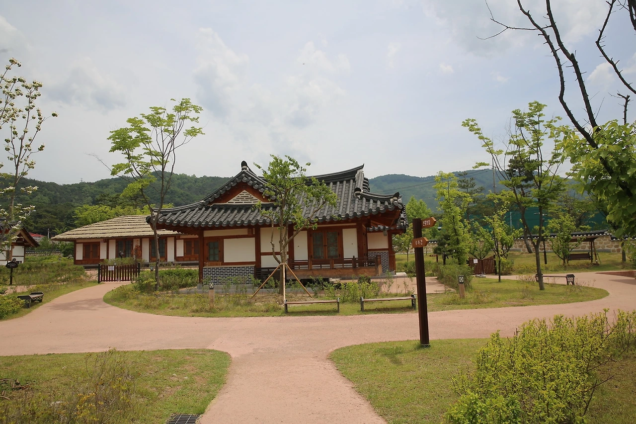 MG0A9609_новый размер.JPG