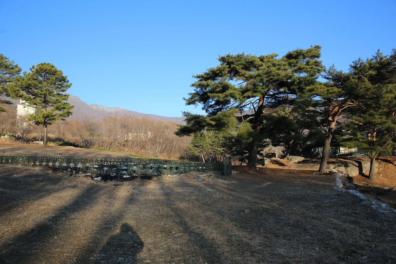 MG0A7596_новый размер.JPG