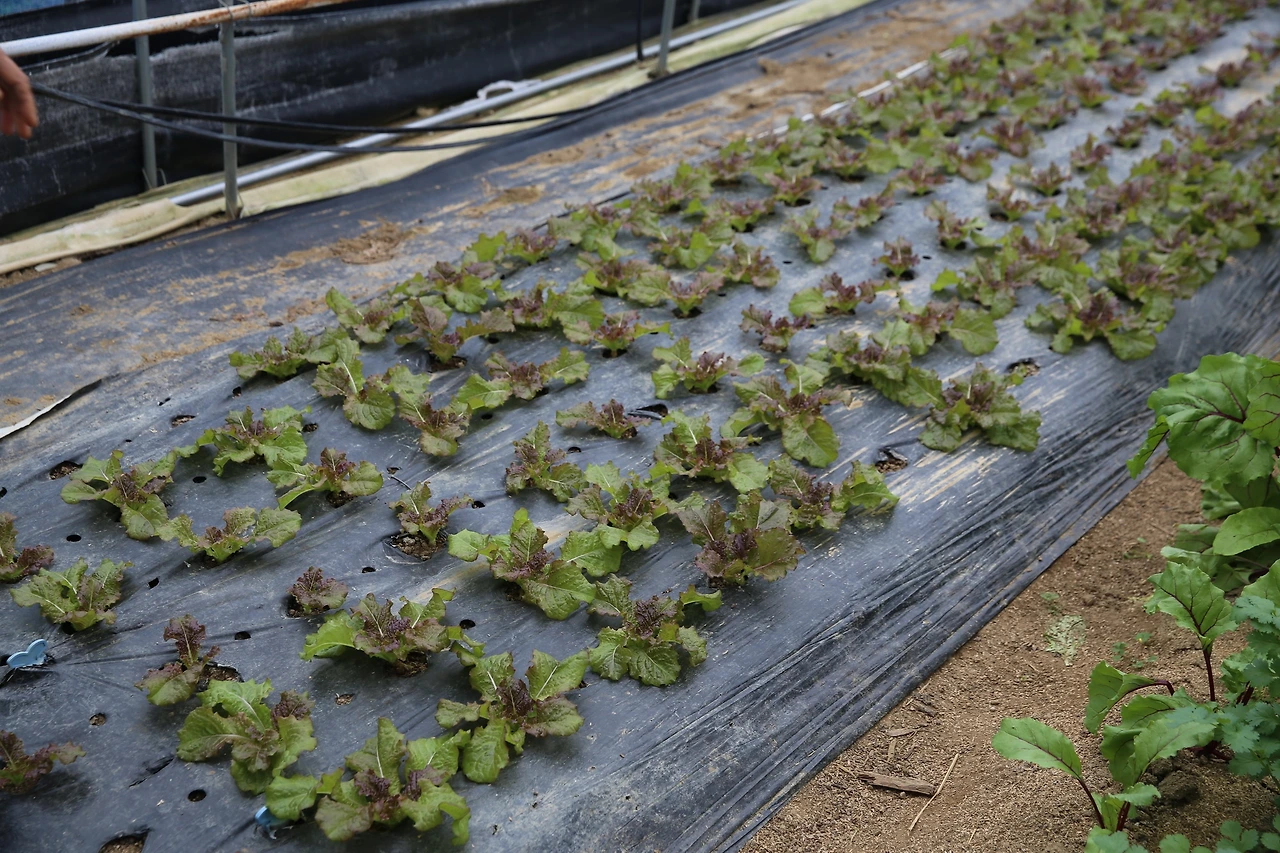 MG0A8768_новый размер.JPG