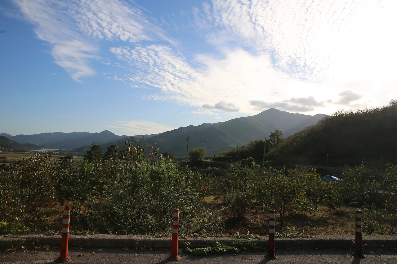 MG0A7973_новый размер.JPG