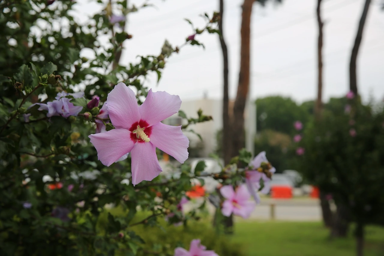 MG0A9079_новый размер.JPG