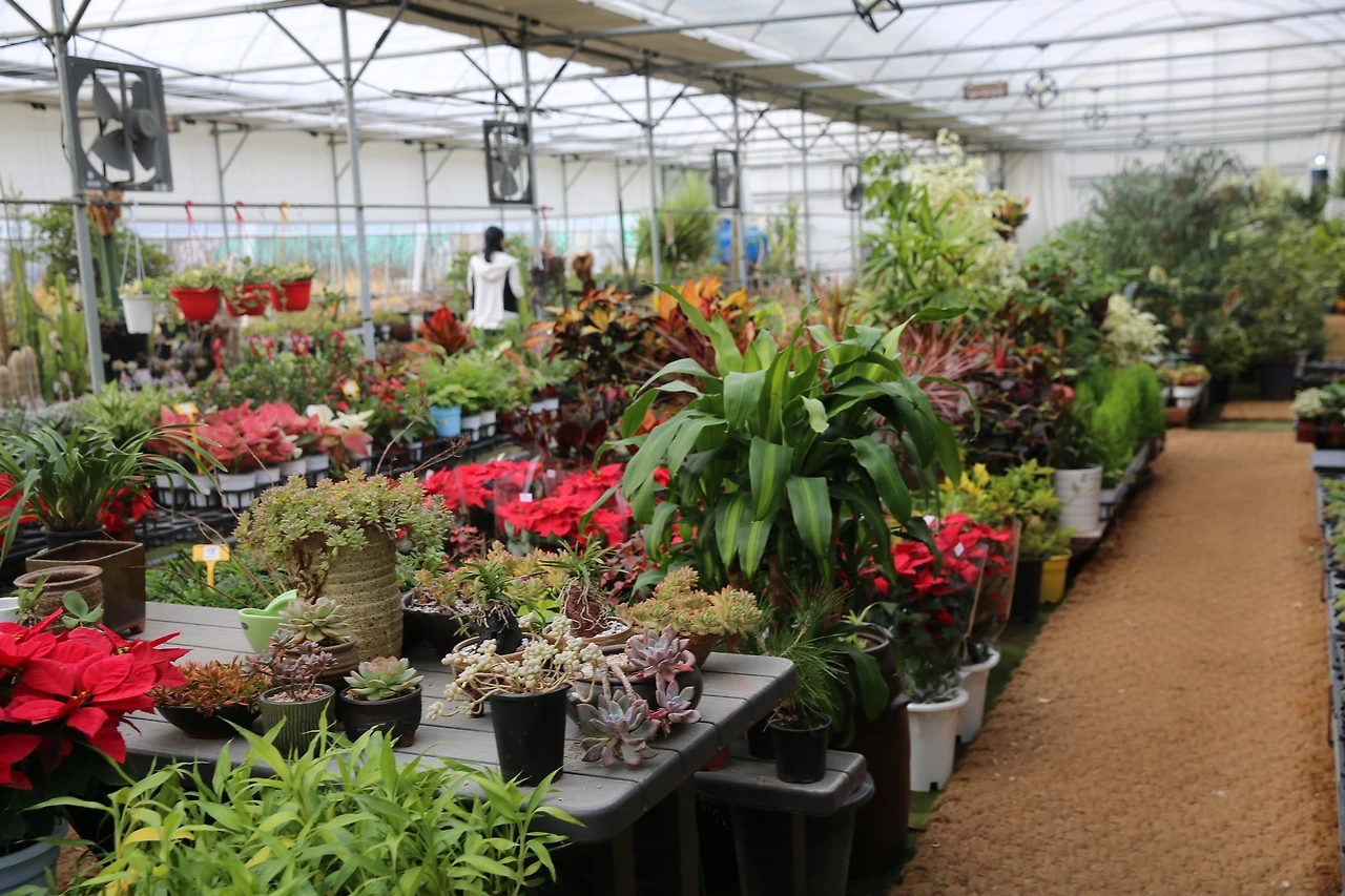 MG0A0650_новый размер.JPG