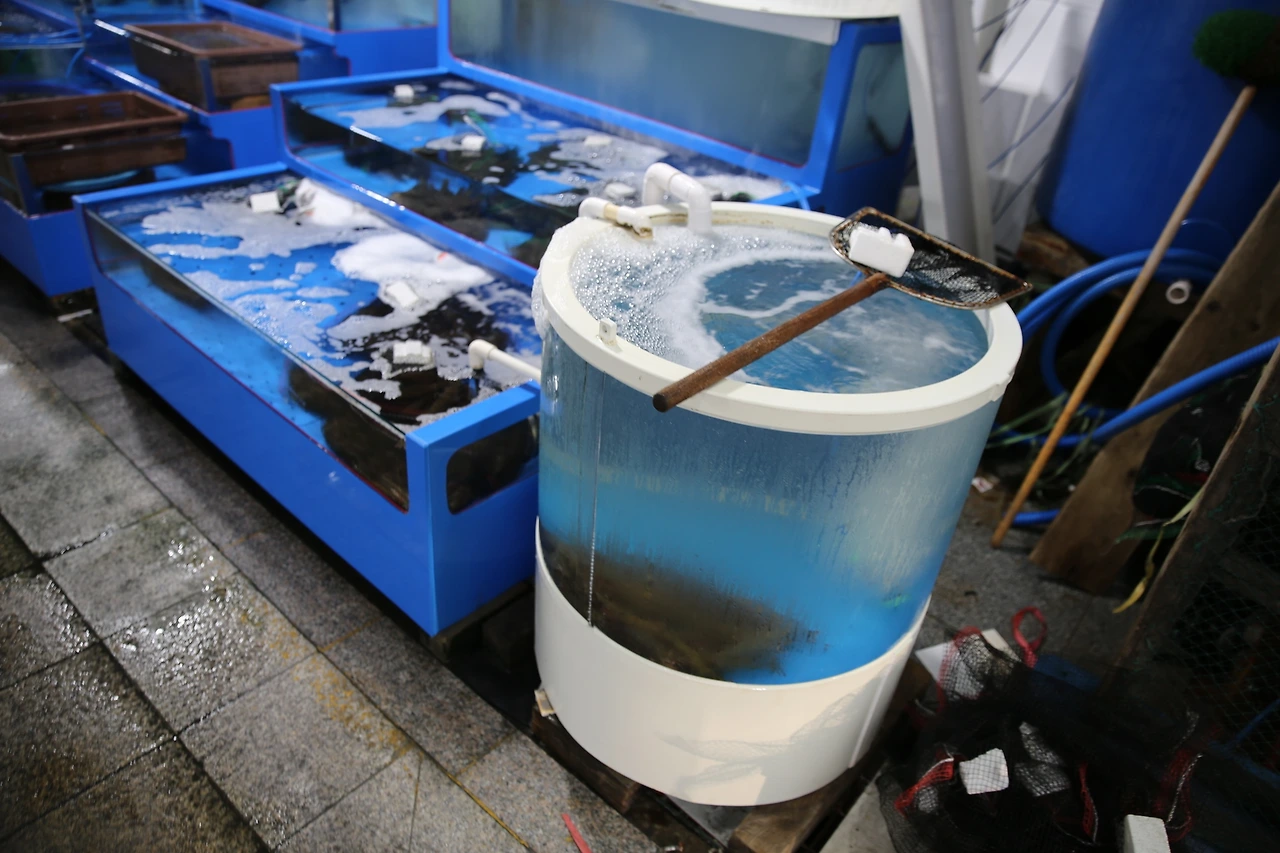 MG0A0844_новый размер.JPG