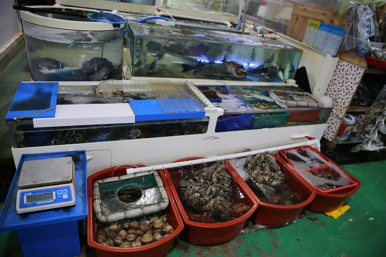 MG0A0716_новый размер.JPG