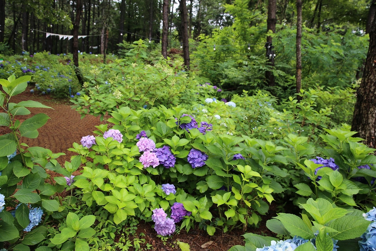 MG0A3650_новый размер.JPG