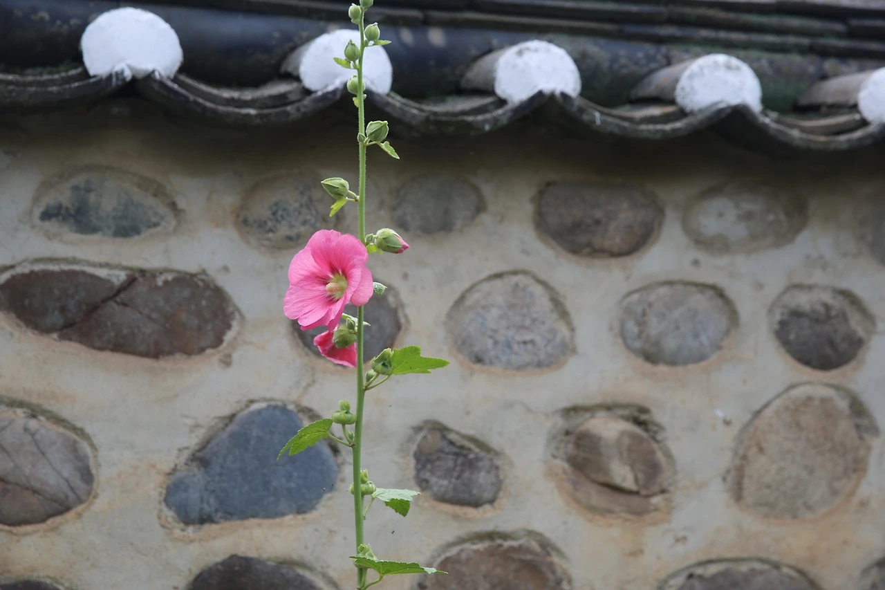 MG0A2135_новый размер.JPG