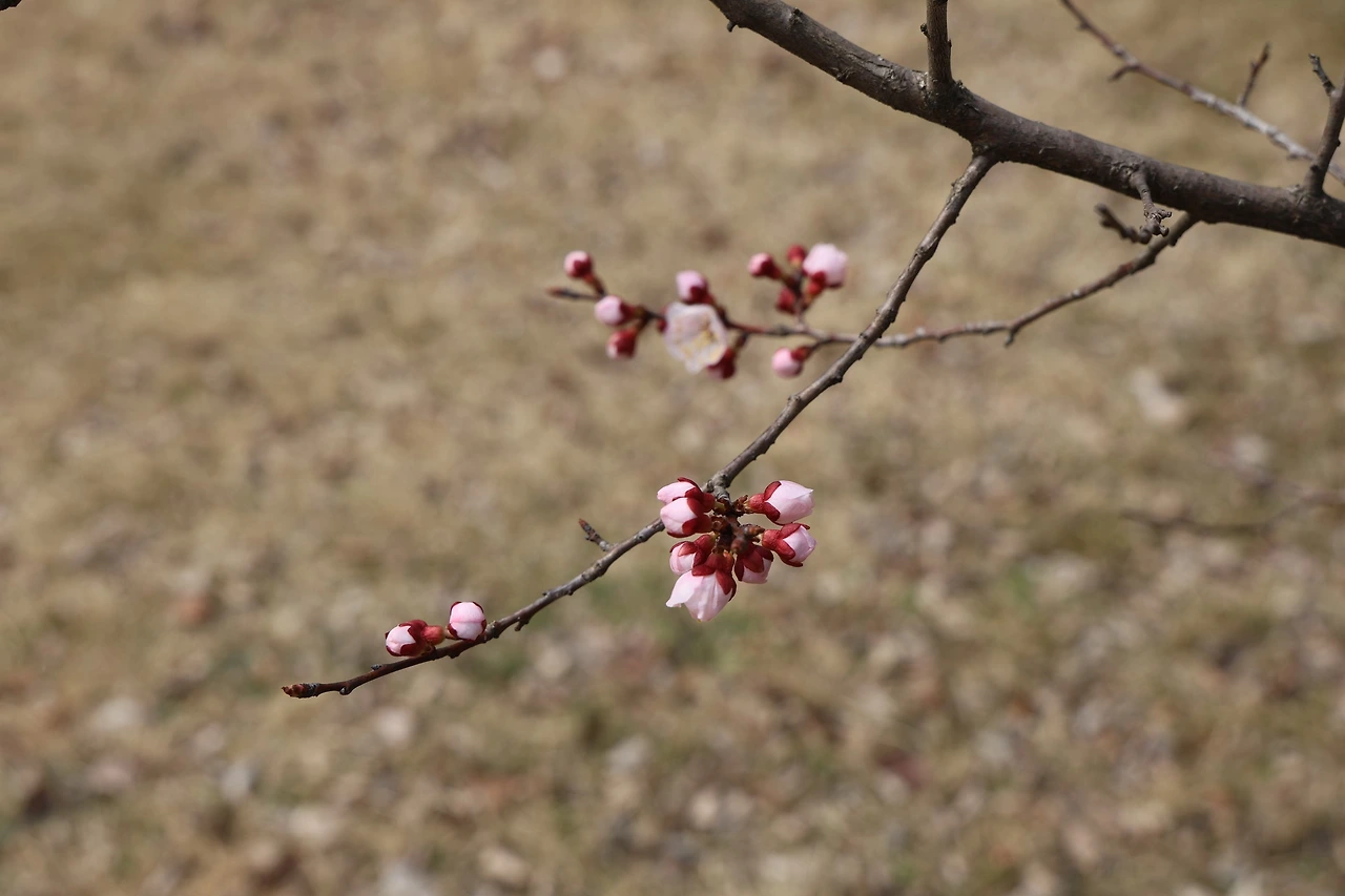 0R5A3968_новый размер.JPG