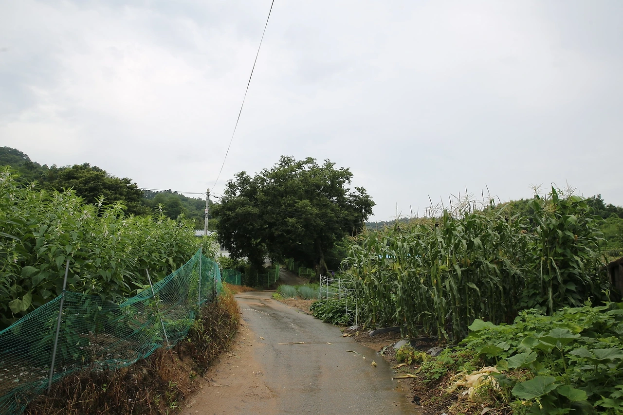 MG0A4700_новый размер.JPG