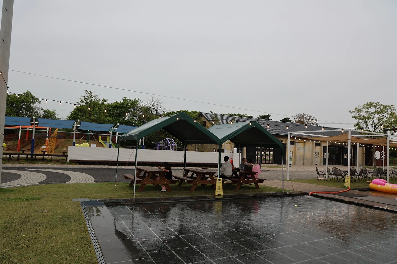 0R5A9821_новый размер.JPG