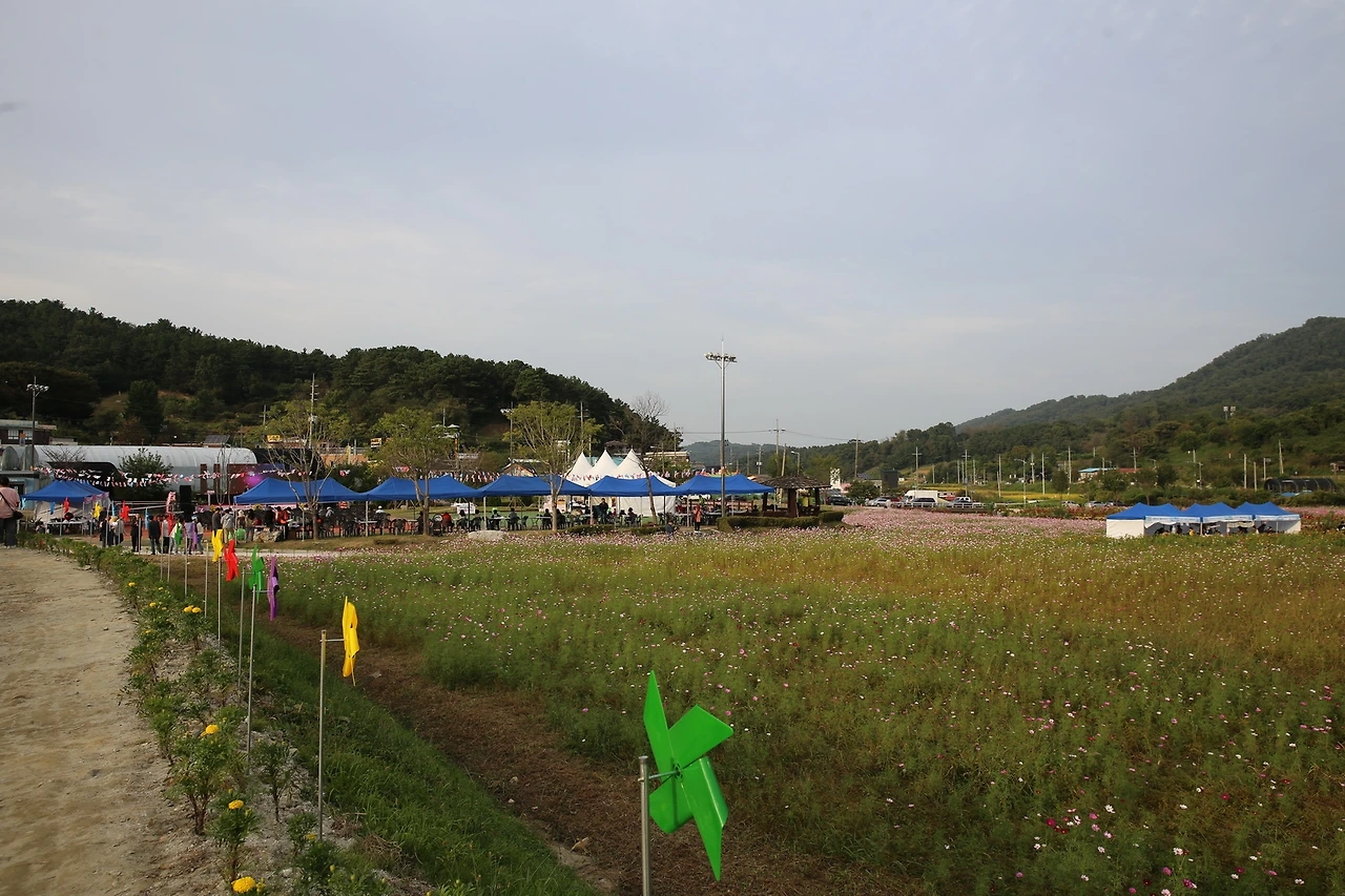 MG0A5118_новый размер.JPG