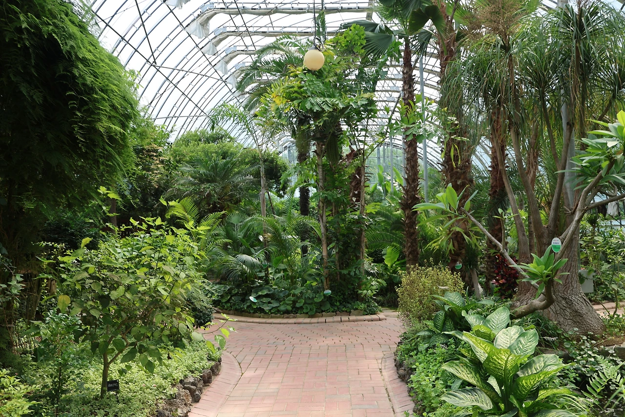 0R5A1819_новый размер.JPG