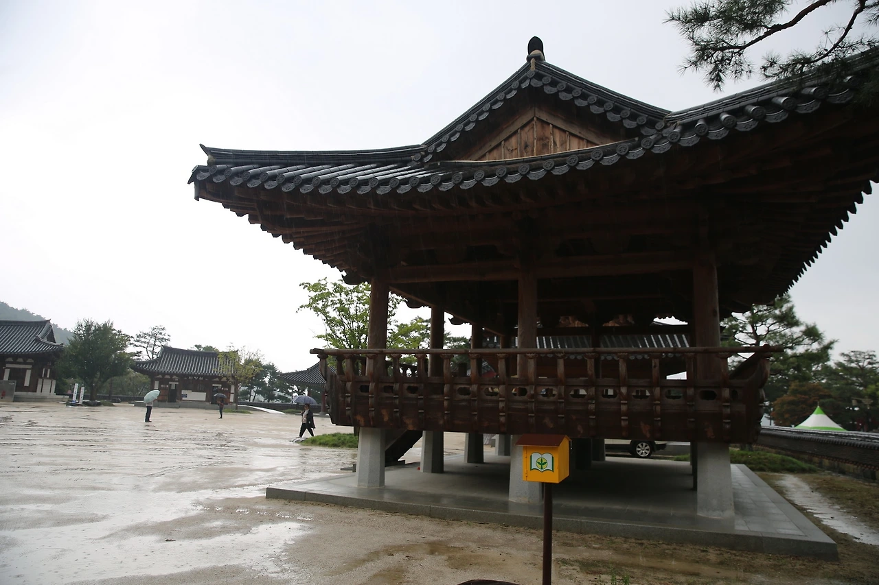 MG0A3194_новый размер.JPG