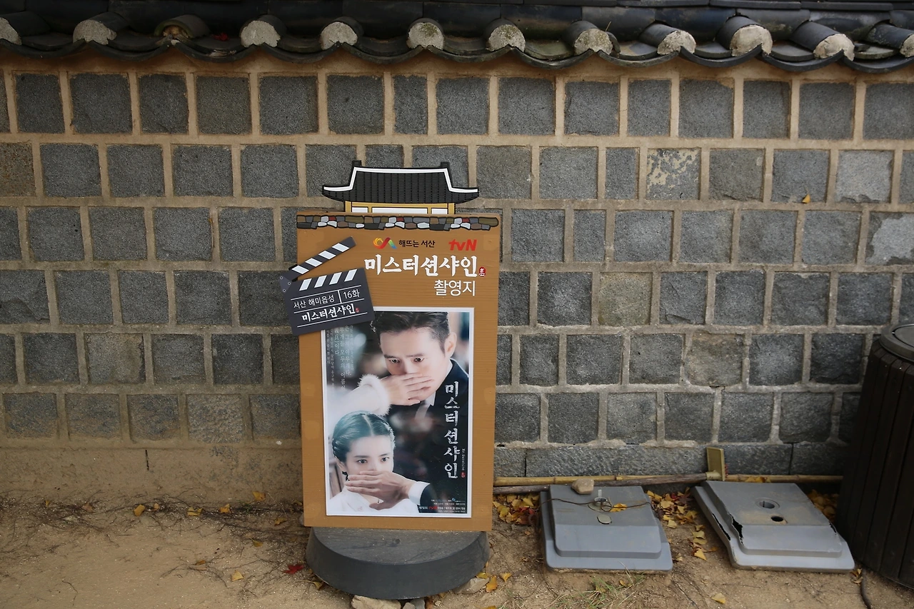 MG0A9599_новый размер.JPG