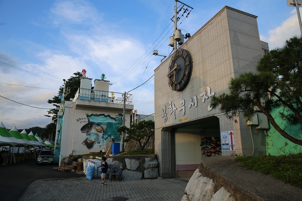 MG0A5082_новый размер.JPG