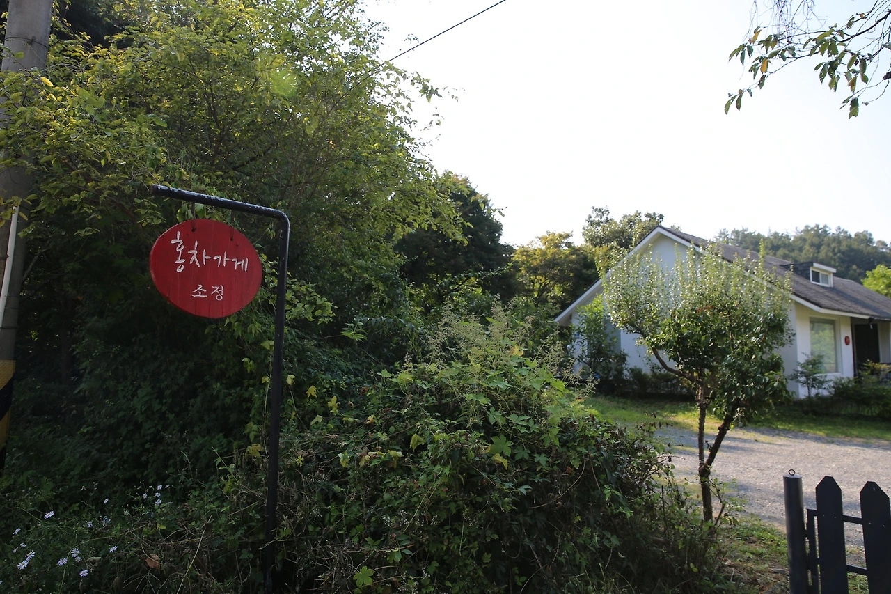 MG0A1561_новый размер.JPG