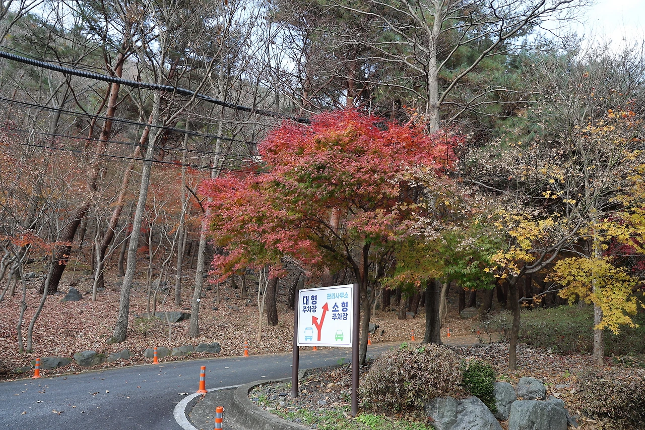 0R5A3119_новый размер.JPG